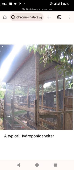 A typical hydroponic shelter with shade netting for controlling temperature and humidity in a Nigerian farm