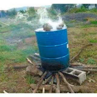 Metal drum used for steam pasteurization of oyster mushroom substrate bags over firewood in Nigeria