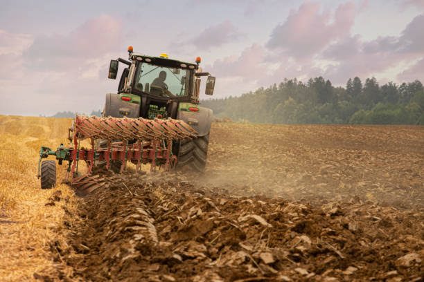 Weed-Free Cassava Farming: How to Plant, Manage and Harvest High-Yield Cassava in 5 Months Without Herbicides